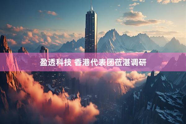 盈透科技 香港代表团莅湛调研